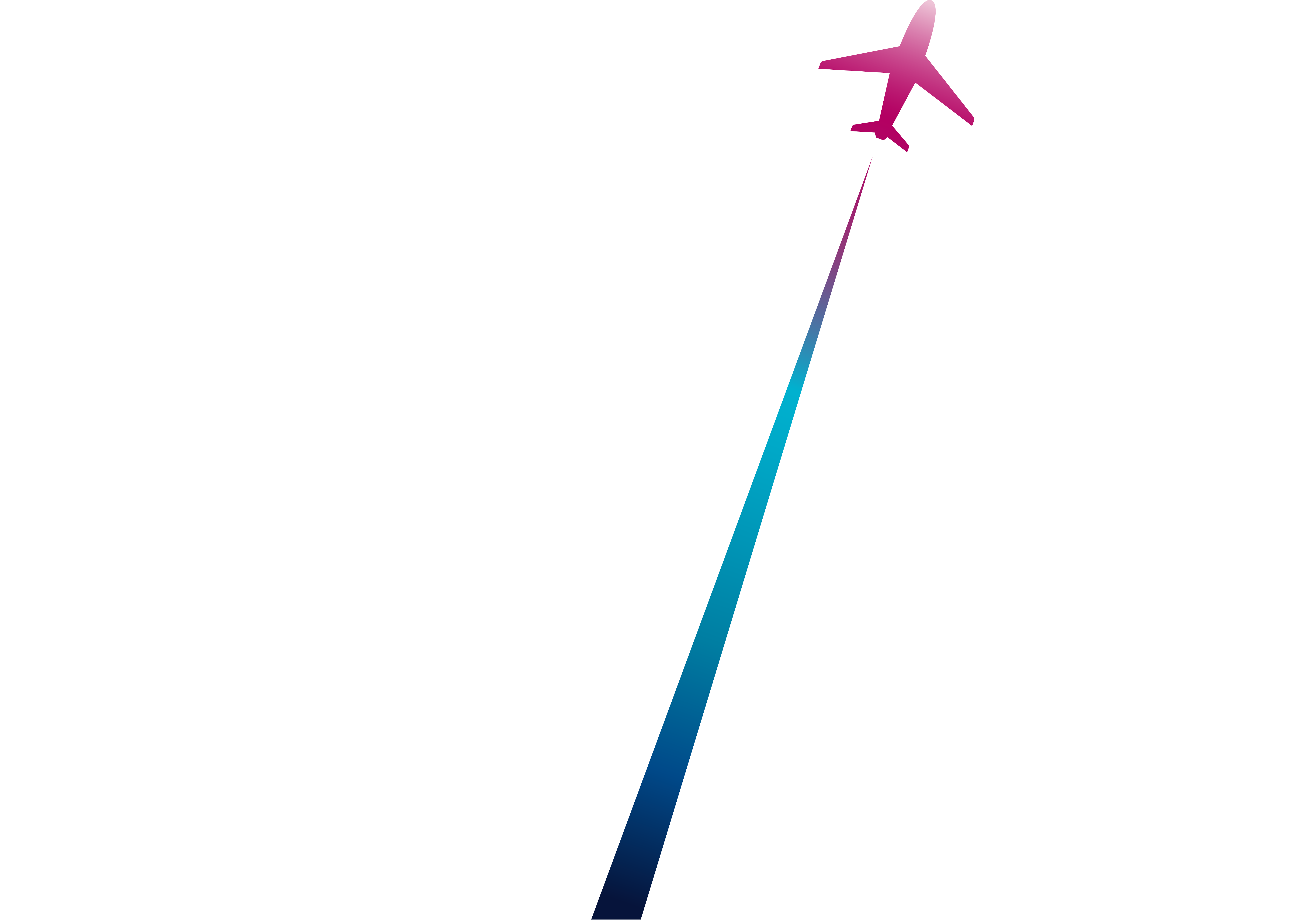 The Travel Summit